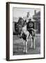 The Drum Horse of the 17th Lancers, 1896-Gregory & Co-Framed Giclee Print