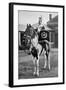 The Drum Horse of the 17th Lancers, 1896-Gregory & Co-Framed Giclee Print