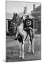 The Drum Horse of the 17th Lancers, 1896-Gregory & Co-Mounted Giclee Print