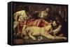 The Drunken Noah-Giovanni Bellini-Framed Stretched Canvas