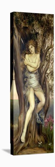 The Dryad, 1884-85-Evelyn De Morgan-Stretched Canvas