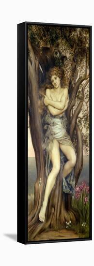 The Dryad, 1884-85-Evelyn De Morgan-Framed Stretched Canvas