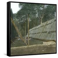 The Drying of Quinquina, Island of Java (Indonesia), around 1900-Leon, Levy et Fils-Framed Stretched Canvas