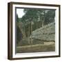 The Drying of Quinquina, Island of Java (Indonesia), around 1900-Leon, Levy et Fils-Framed Photographic Print