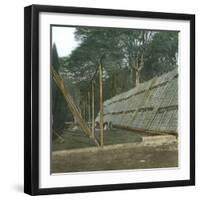 The Drying of Quinquina, Island of Java (Indonesia), around 1900-Leon, Levy et Fils-Framed Photographic Print