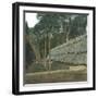 The Drying of Quinquina, Island of Java (Indonesia), around 1900-Leon, Levy et Fils-Framed Photographic Print