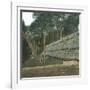 The Drying of Quinquina, Island of Java (Indonesia), around 1900-Leon, Levy et Fils-Framed Premium Photographic Print