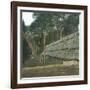 The Drying of Quinquina, Island of Java (Indonesia), around 1900-Leon, Levy et Fils-Framed Premium Photographic Print