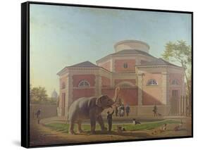 The Duc and Duchesse De Berry Visiting the Elephant at the Jardin Des Plantes in Paris, 1817-Jean Baptiste Berre-Framed Stretched Canvas