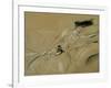 The Duchess of Marlborough Dozing Off at Blenheim Palace-Paul Cesar Helleu-Framed Giclee Print