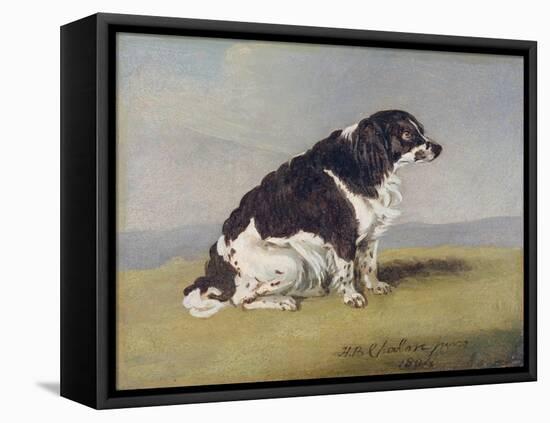 The Duchess of York's Spaniel, 1804-Henry Bernard Chalon-Framed Stretched Canvas