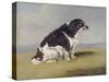 The Duchess of York's Spaniel, 1804-Henry Bernard Chalon-Stretched Canvas