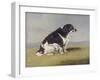 The Duchess of York's Spaniel, 1804-Henry Bernard Chalon-Framed Giclee Print