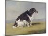 The Duchess of York's Spaniel, 1804-Henry Bernard Chalon-Mounted Giclee Print