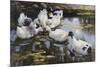 The Duck Pond, (Oil on Canvas)-Alexander Koester-Mounted Giclee Print