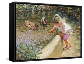 The Duck Pond-Paul Gribble-Framed Stretched Canvas