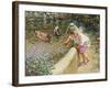 The Duck Pond-Paul Gribble-Framed Giclee Print