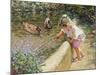 The Duck Pond-Paul Gribble-Mounted Giclee Print