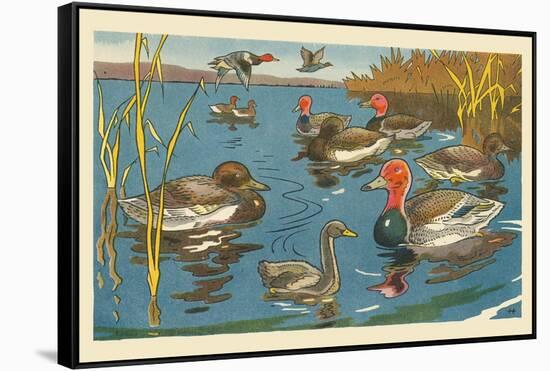 The Ducks And The Ugly Duckling-Hauman-Framed Stretched Canvas