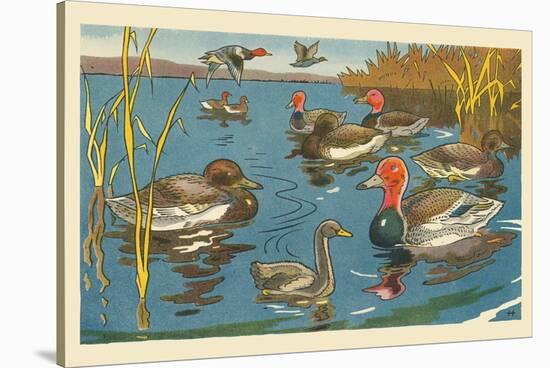 The Ducks And The Ugly Duckling-Hauman-Stretched Canvas