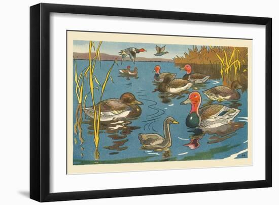 The Ducks And The Ugly Duckling-Hauman-Framed Art Print