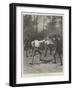 The Duel Between M Floquet and General Boulanger-Amedee Forestier-Framed Giclee Print