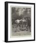 The Duel Between M Floquet and General Boulanger-Amedee Forestier-Framed Premium Giclee Print