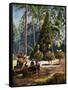 The Duk Duk Society, Bismarck Archipelago, Papua New Guinea, 1920-null-Framed Stretched Canvas