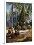 The Duk Duk Society, Bismarck Archipelago, Papua New Guinea, 1920-null-Framed Giclee Print