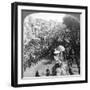 The Duke and Duchess of Connaught and in the Great Durbar Procession, Delhi, India, 1903-Underwood & Underwood-Framed Giclee Print