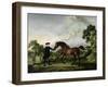 The Duke of Ancaster's Bay Stallion "Blank," Held by a Groom, circa 1762-5-George Stubbs-Framed Giclee Print