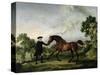 The Duke of Ancaster's Bay Stallion "Blank," Held by a Groom, circa 1762-5-George Stubbs-Stretched Canvas