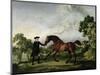 The Duke of Ancaster's Bay Stallion "Blank," Held by a Groom, circa 1762-5-George Stubbs-Mounted Giclee Print