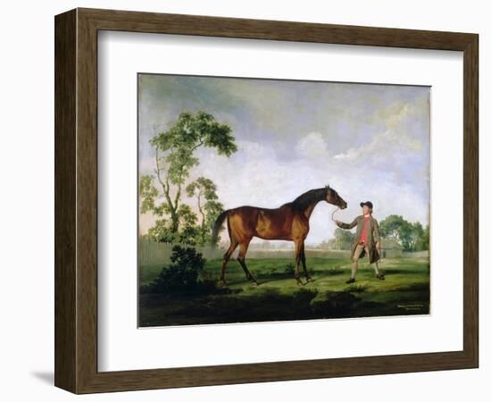 The Duke of Ancaster's Bay Stallion "Spectator", Held by a Groom, c.1762-5-George Stubbs-Framed Giclee Print