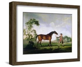 The Duke of Ancaster's Bay Stallion "Spectator", Held by a Groom, c.1762-5-George Stubbs-Framed Giclee Print