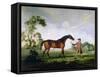 The Duke of Ancaster's Bay Stallion "Spectator", Held by a Groom, c.1762-5-George Stubbs-Framed Stretched Canvas