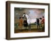 The Duke of Bolton's 'starling' with a Jockey and Groom at Newmarket, 1734-Thomas Spencer-Framed Giclee Print