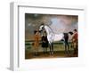 The Duke of Bolton's 'starling' with a Jockey and Groom at Newmarket, 1734-Thomas Spencer-Framed Giclee Print