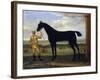 The Duke of Devonshire's Racehorse 'Basto', C.1708-25 (Oil on Canvas)-John Wootton-Framed Giclee Print
