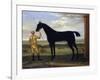 The Duke of Devonshire's Racehorse 'Basto', C.1708-25 (Oil on Canvas)-John Wootton-Framed Giclee Print