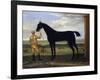 The Duke of Devonshire's Racehorse 'Basto', C.1708-25 (Oil on Canvas)-John Wootton-Framed Giclee Print