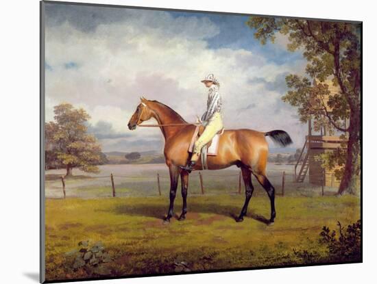The Duke of Hamilton's Disguise with Jockey Up-George Garrard-Mounted Giclee Print
