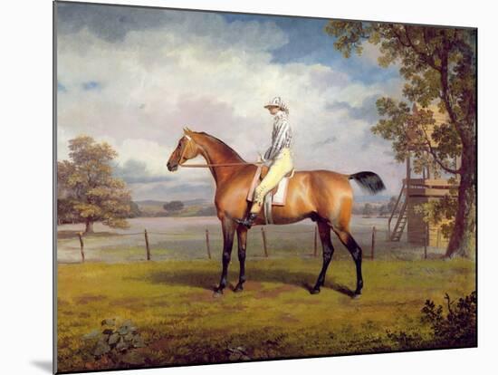 The Duke of Hamilton's Disguise with Jockey Up-George Garrard-Mounted Giclee Print