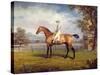 The Duke of Hamilton's Disguise with Jockey Up-George Garrard-Stretched Canvas