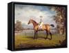 The Duke of Hamilton's Disguise with Jockey Up-George Garrard-Framed Stretched Canvas