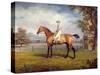 The Duke of Hamilton's Disguise with Jockey Up-George Garrard-Stretched Canvas