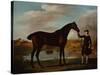 The Duke of Malboroughs Bay Hunter with a Groom-George Stubbs-Stretched Canvas