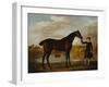 The Duke of Marlborough's (?) Bay Hunter, with a Groom in Livery in a Lake Landscape-George Stubbs-Framed Giclee Print