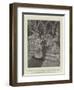 The Duke of Marlborough's Marriage to Miss Consuelo Vanderbilt-T. Dart Walker-Framed Giclee Print