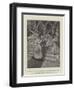 The Duke of Marlborough's Marriage to Miss Consuelo Vanderbilt-T. Dart Walker-Framed Giclee Print